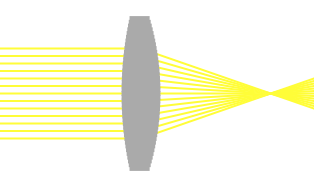 Lentille